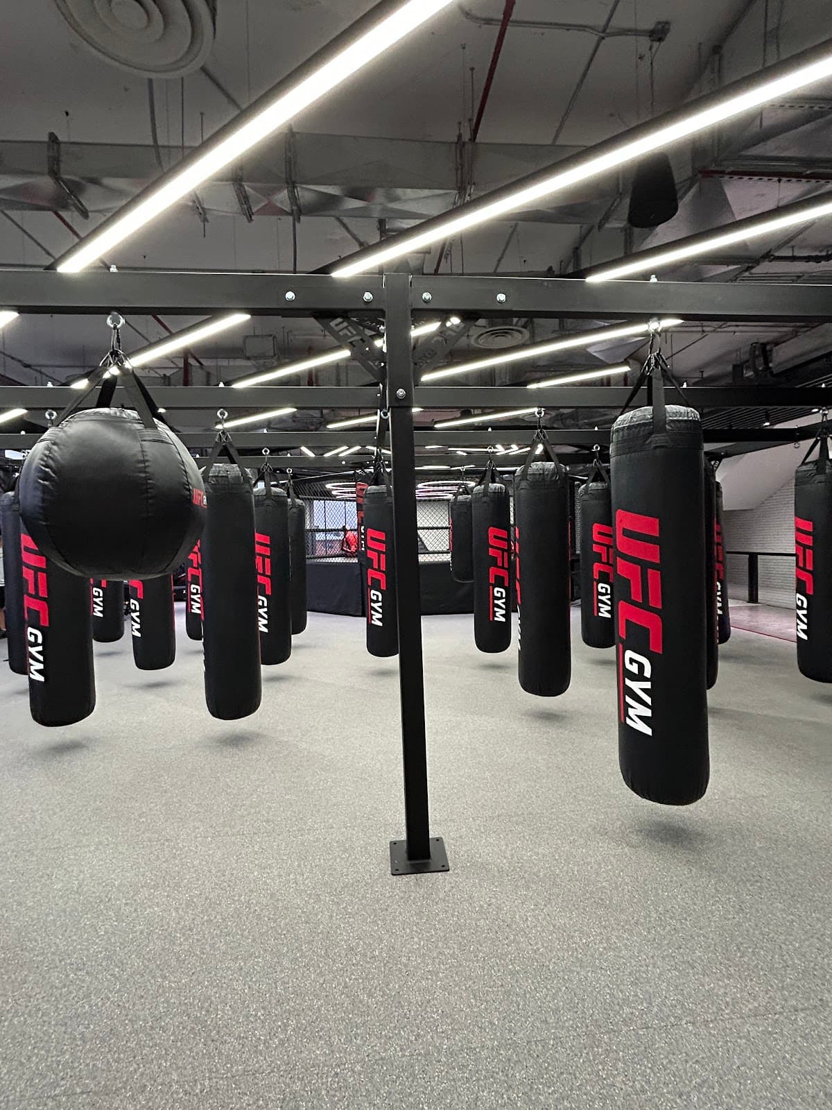 UFC gym — صورة ٢