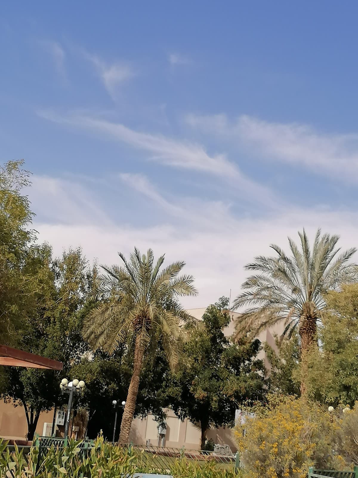 حديقة الرحمانيه — صورة ٢