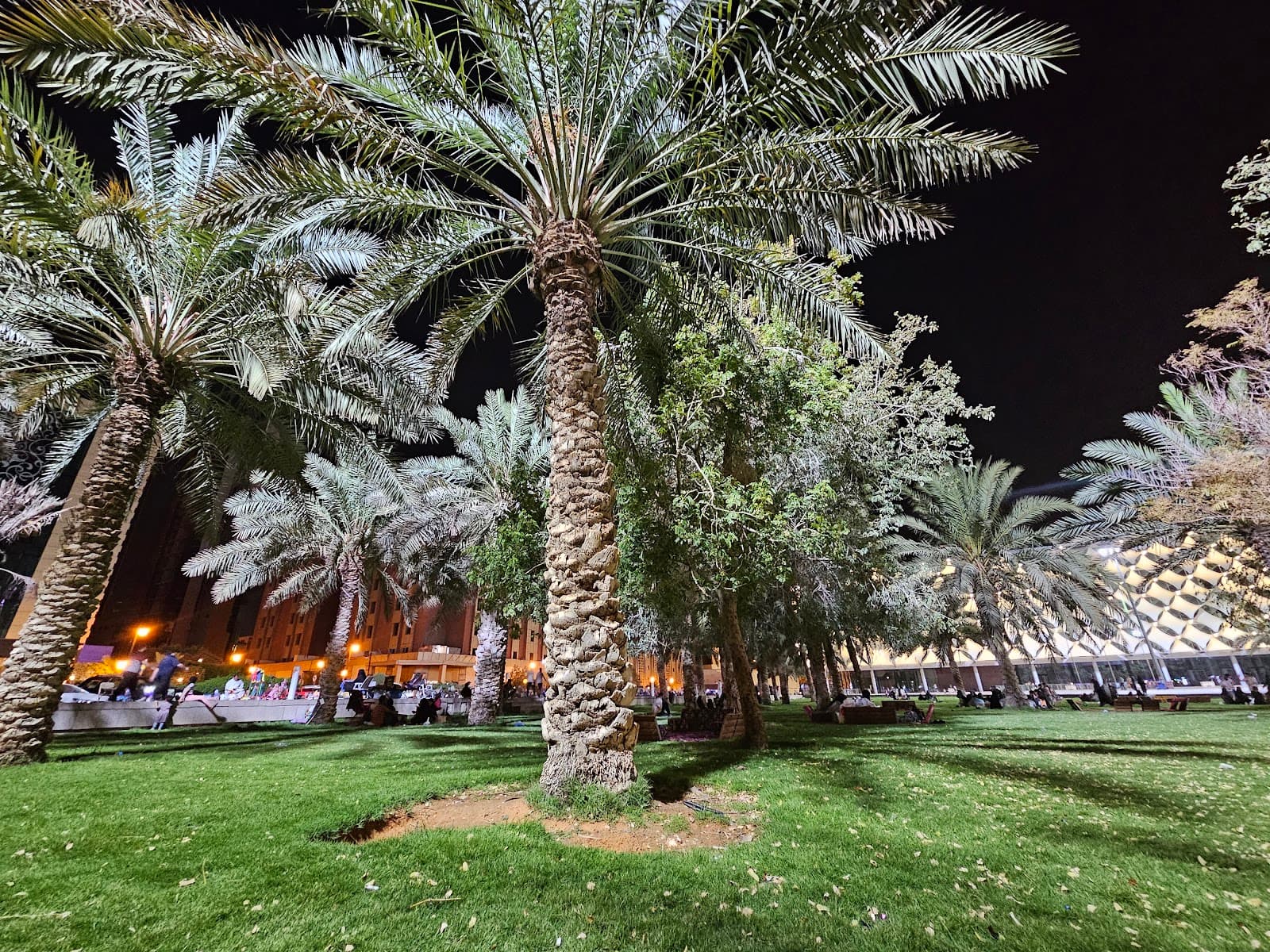حديقة مكتبة الملك فهد — صورة ٤