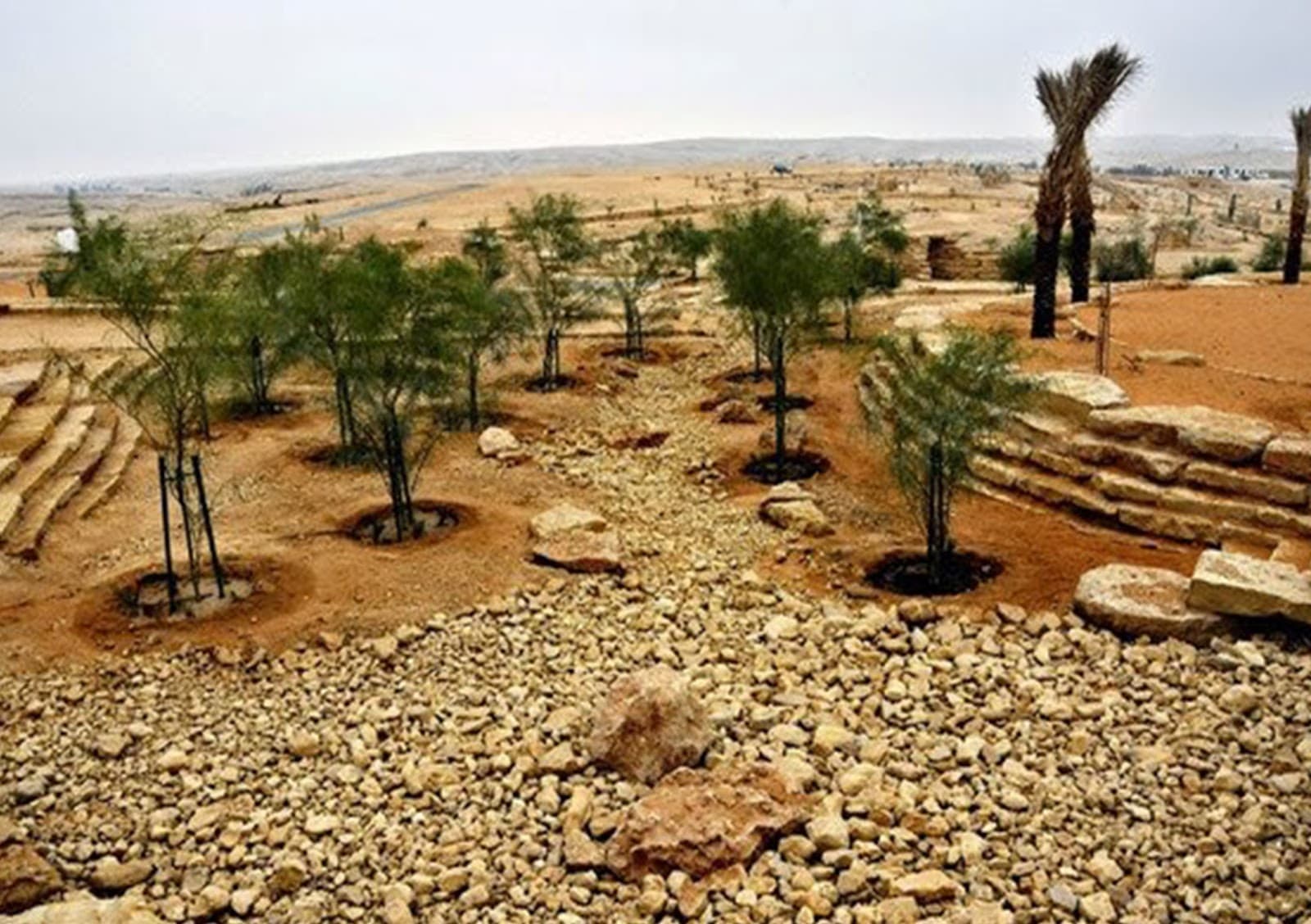 منتزه الملك سلمان البري — صورة ٤
